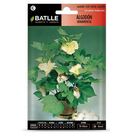 SEMILLAS ALGODON ORNAMENTAL