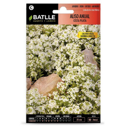 SEMILLAS ALISO BLANCO