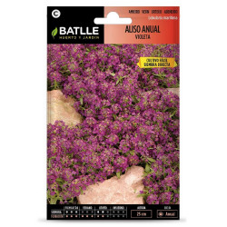 SEMILLAS ALISO VIOLETA