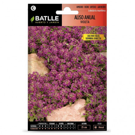 SEMILLAS ALISO VIOLETA