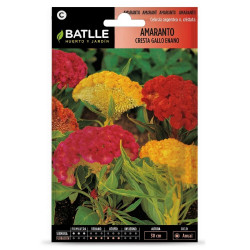 SEMILLAS AMARANTO CRESTA GALLO
