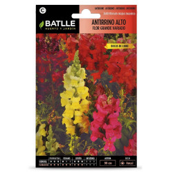 SEMILLAS ANTIRRINUM ALTO VARIADO