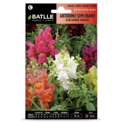 SEMILLAS ANTIRRINUM ENANO VARIADO