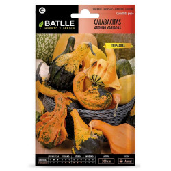SEMILLAS CALABAZAS ORNAMENTALES VARIADAS