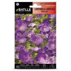 SEMILLAS CAMPANULA