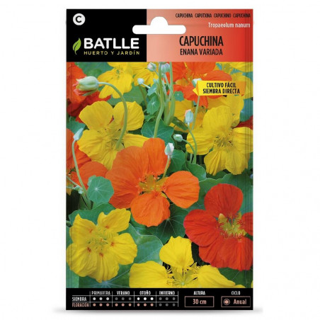 SEMILLAS CAPUCHINA ENANA VARIADA