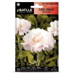 SEMILLAS CLAVEL BLANCO