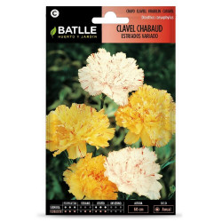 SEMILLAS CLAVEL ESTRIADO VARIADO