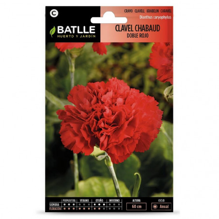 SEMILLAS CLAVEL ROJO