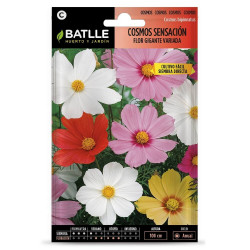 SEMILLAS COSMOS FLOR GIGANTE