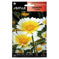 SEMILLAS CRISANTEMOS DE JARDIN