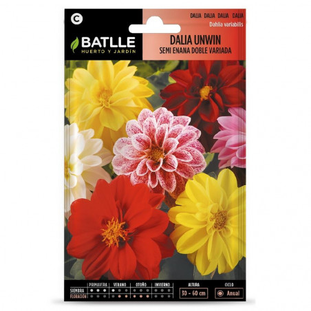 SEMILLAS DAHLIA ENANA