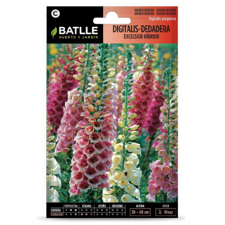 SEMILLAS DIGITALIS
