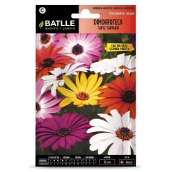 SEMILLAS MARGARITA DIMORFOTECA VARIADA