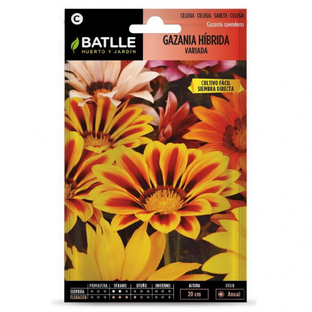 SEMILLAS GAZANIA HIBRIDA