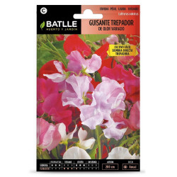 SEMILLAS GUISANTE DE FLOR TREPADOR