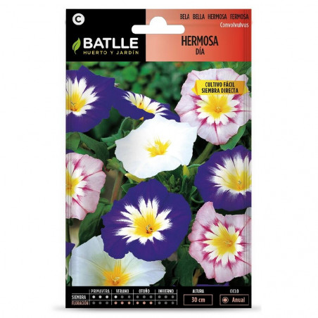 SEMILLAS CONVULVULUS-HERMOSA DIA