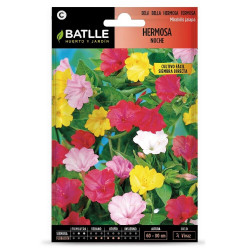 SEMILLAS DON DIEGO DE NOCHE-HERMOSA NOCHE