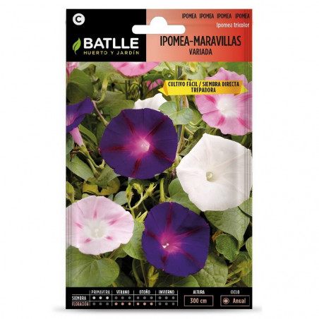 SEMILLAS IPOMEA TREPADORA VARIADA