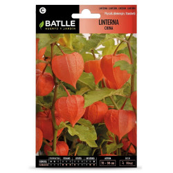 SEMILLAS PHYSALIS-LINTERNA CHINA
