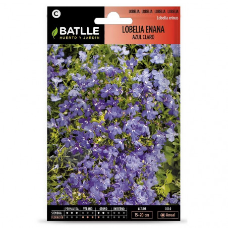 SEMILLAS LOBELIA ENANA AZUL