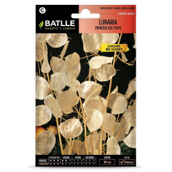 SEMILLAS LUNARIA