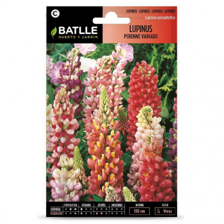 SEMILLAS LUPINUS VARIADO