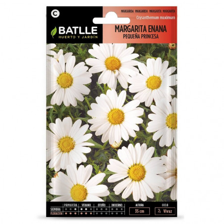 SEMILLAS MARGARITA ENANA