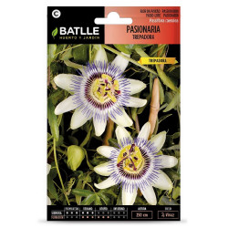 SEMILLAS PASIONARIA TREPADORA
