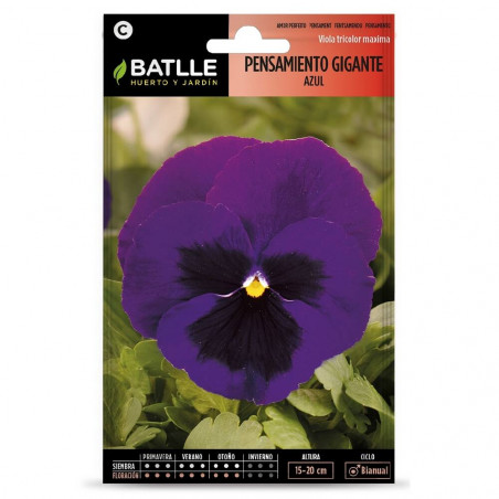 SEMILLAS PENSAMIENTO AZUL