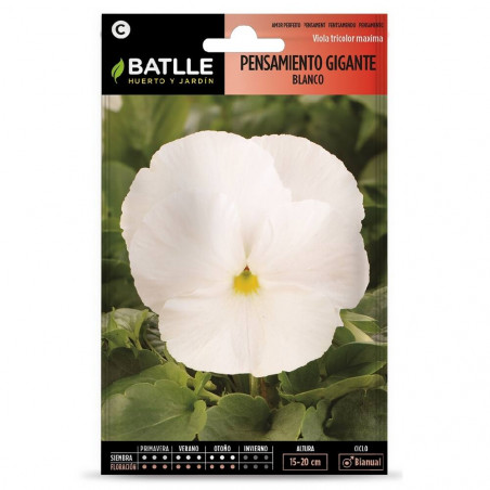 SEMILLAS PENSAMIENTO BLANCO
