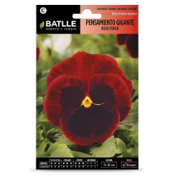 SEMILLAS PENSAMIENTO ROJO