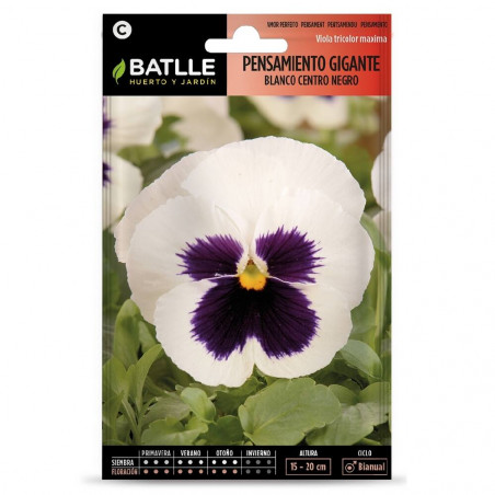 SEMILLAS PENSAMIENTO BLANCO CENTRO NEGRO