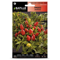 SEMILLAS PIMIENTO ORNAMENTAL