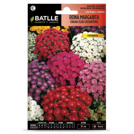 SEMILLAS REINA MARGARITA ENANA