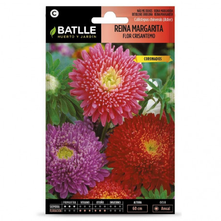 SEMILLAS REINA MARGARITA FLOR CRISANTEMO