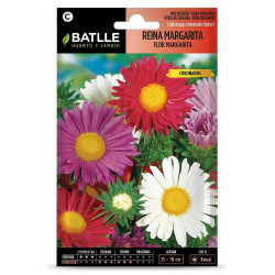 SEMILLAS REINA MARGARITA FLOR MARGARITA