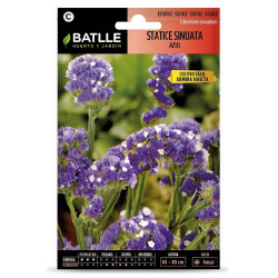SEMILLAS STATICE AZUL