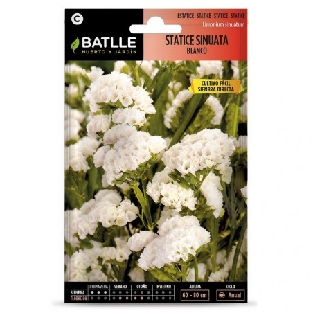 SEMILLAS STATICE BLANCO