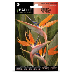SEMILLAS STRELITZIA AVE PARAISO