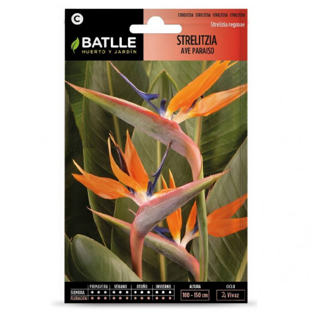 SEMILLAS STRELITZIA AVE PARAISO