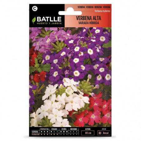 SEMILLAS VERBENA ALTA VARIADA