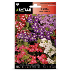 SEMILLAS VERBENA ENANA COMPACTA