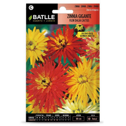 SEMILLAS ZINNIA GIGANTE FLOR CACTUS