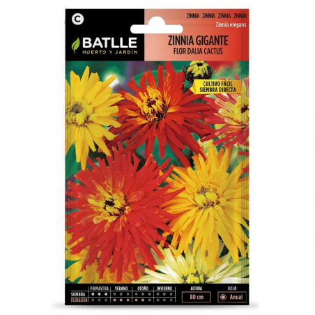 SEMILLAS ZINNIA GIGANTE FLOR CACTUS