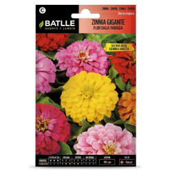 SEMILLAS ZINNIA GIGANTE FLOR DALIA