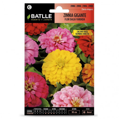 SEMILLAS ZINNIA GIGANTE FLOR DALIA