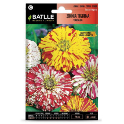 SEMILLAS ZINNIA TIGRINA