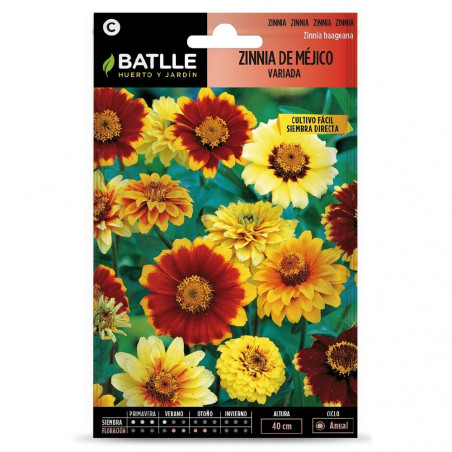 SEMILLAS ZINNIA MEJICO