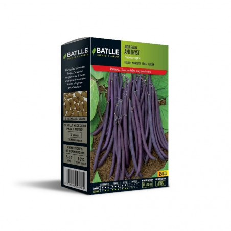 SEMILLAS JUDIA MATA BAJA VIOLETA AMETHYST 250 GR